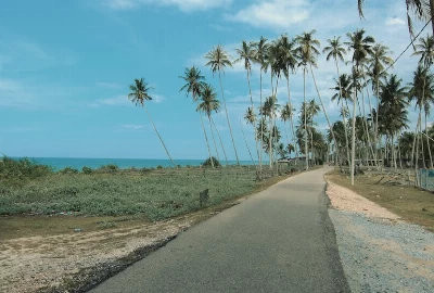 Escape the City: Road Trips from West Palm Beach That Will Leave You in Awe
